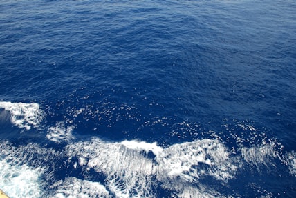 Cruising the Indian Ocean port