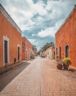 a brick street with potted plants on the side of it