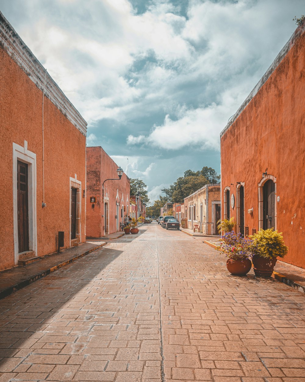 a brick street with potted plants on the side of it