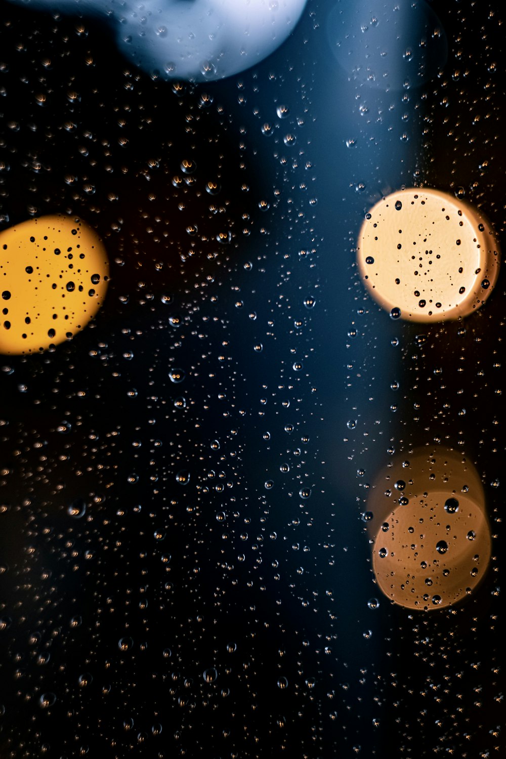 yellow and white polka dot light