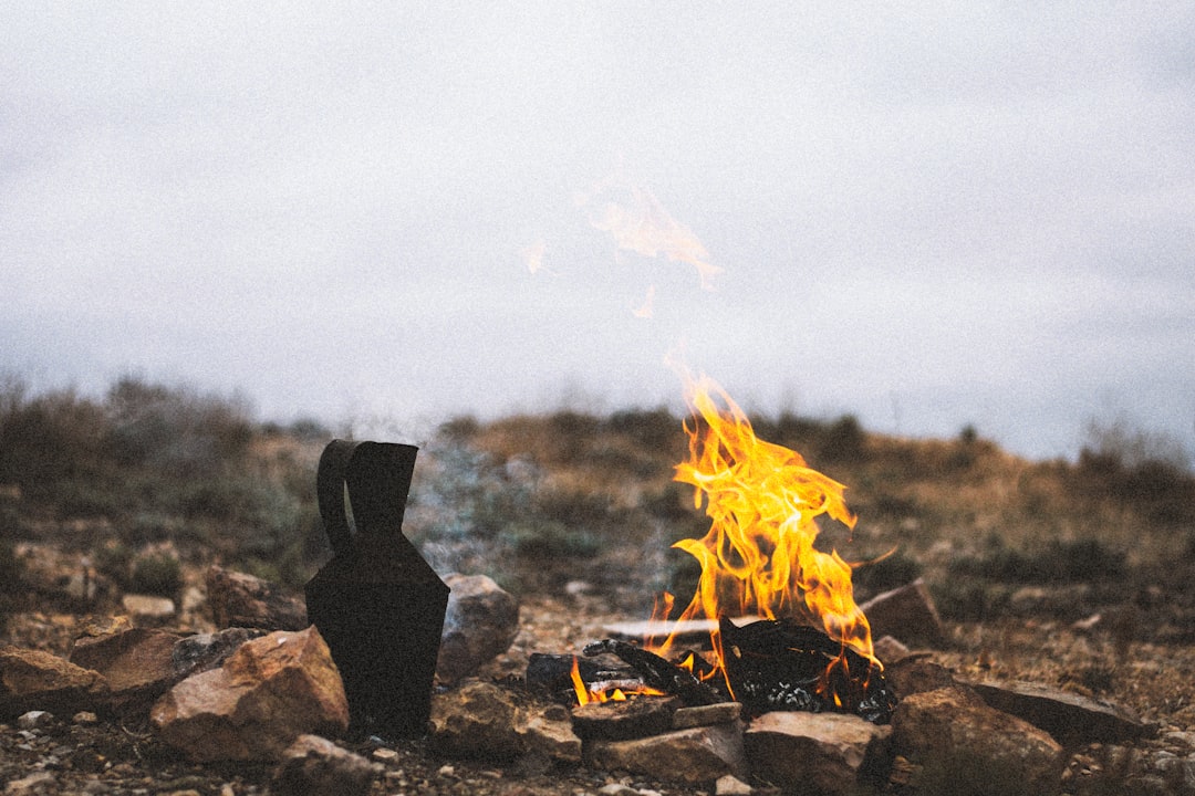 burning wood on fire pit