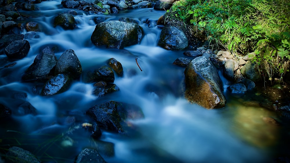 green moss on rocks on river