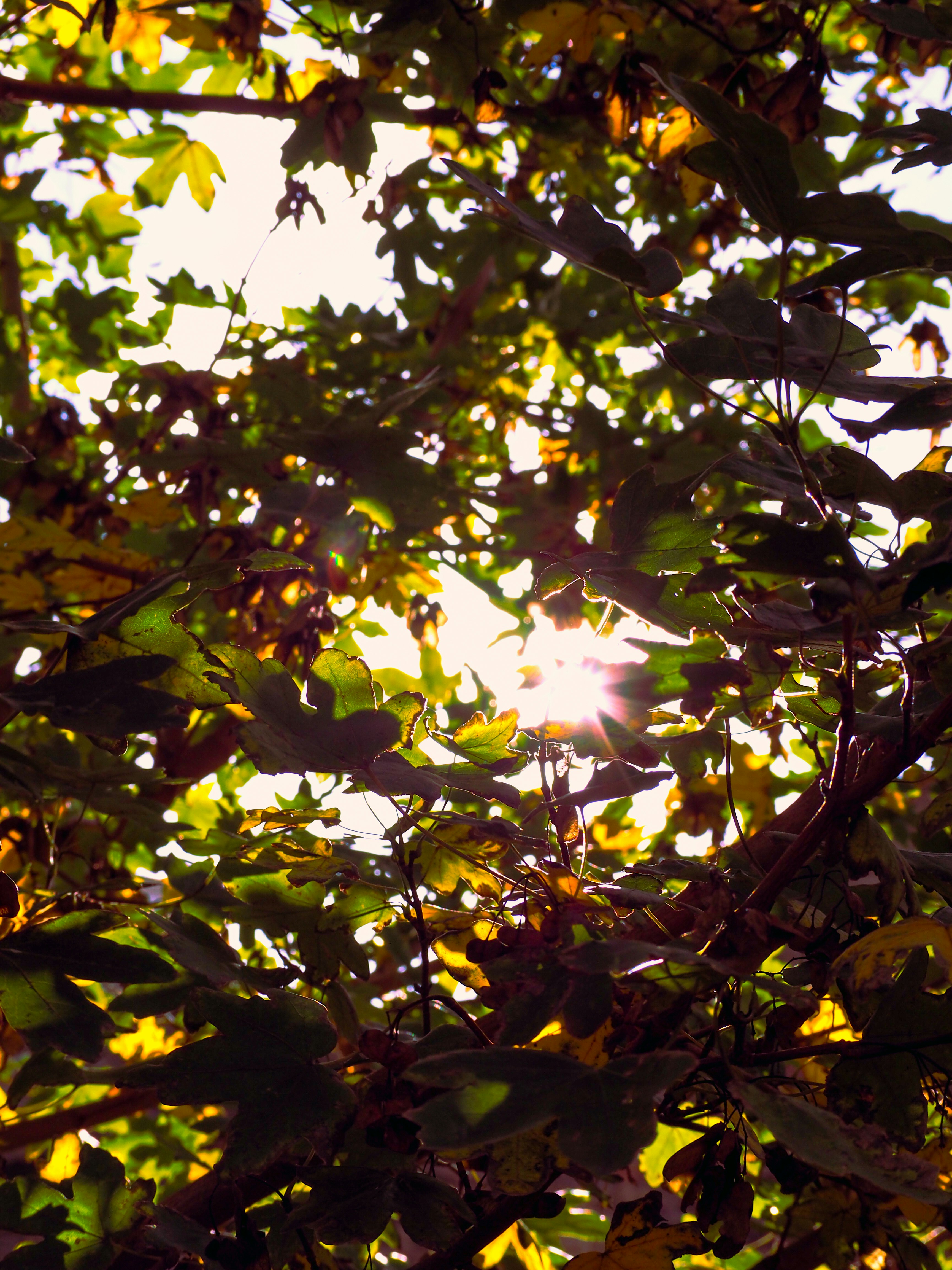 Photo by studiowattier