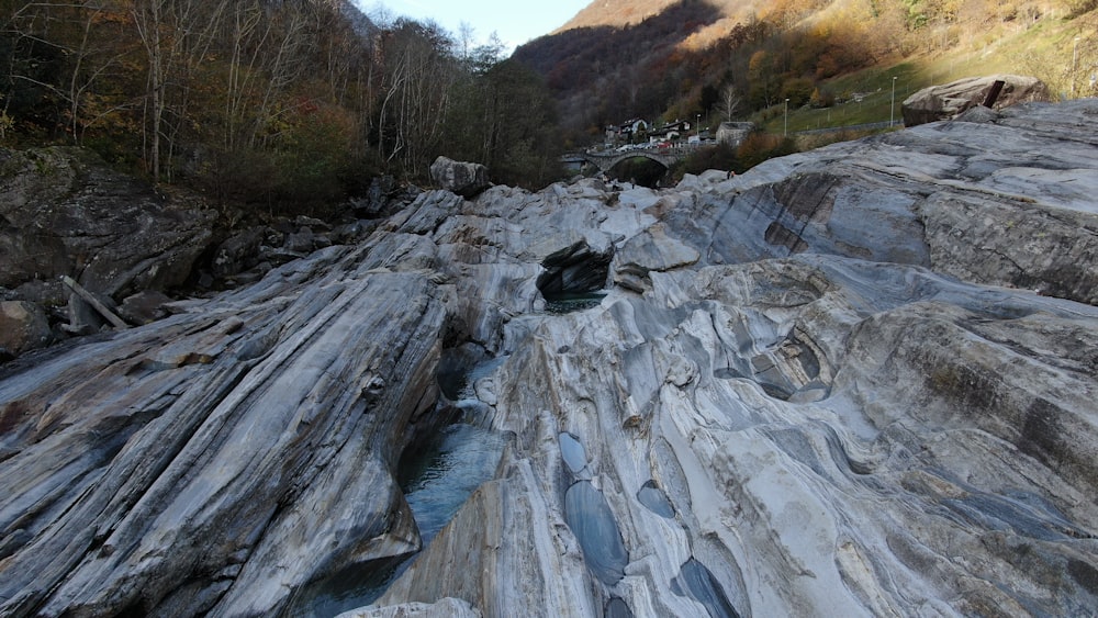 gray rocky river in between of green trees during daytime