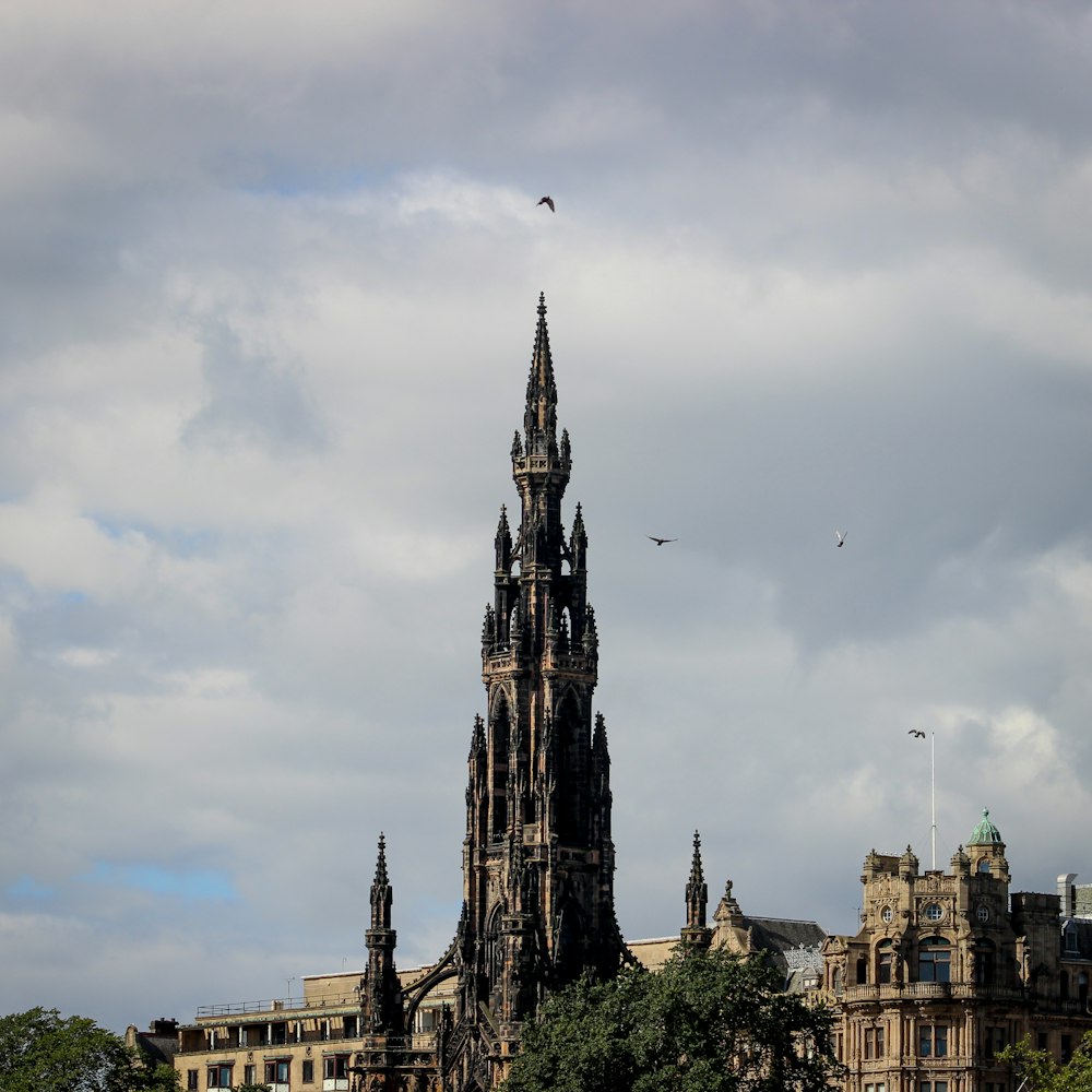 birds flying over the building