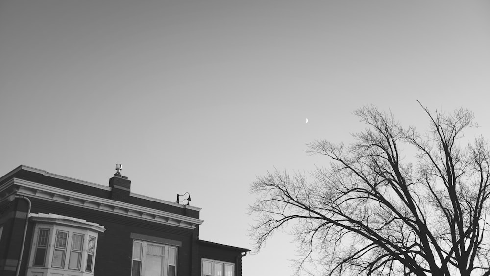 grayscale photo of house near bare trees