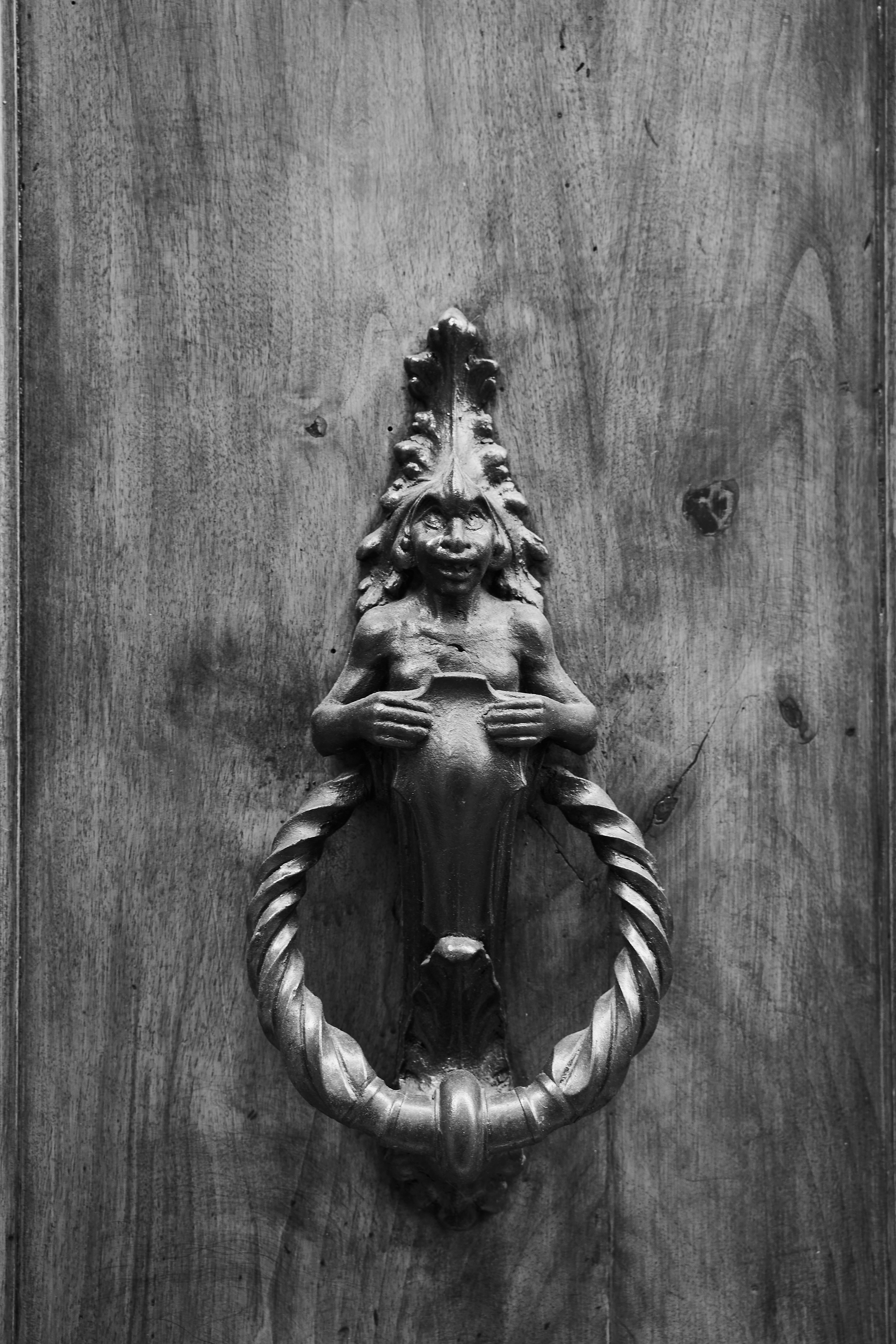 Photo by wolfgang_hasselmann