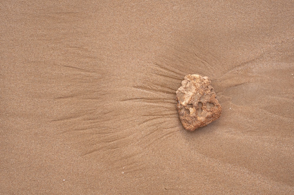 갈색 모래 위에 갈색 돌