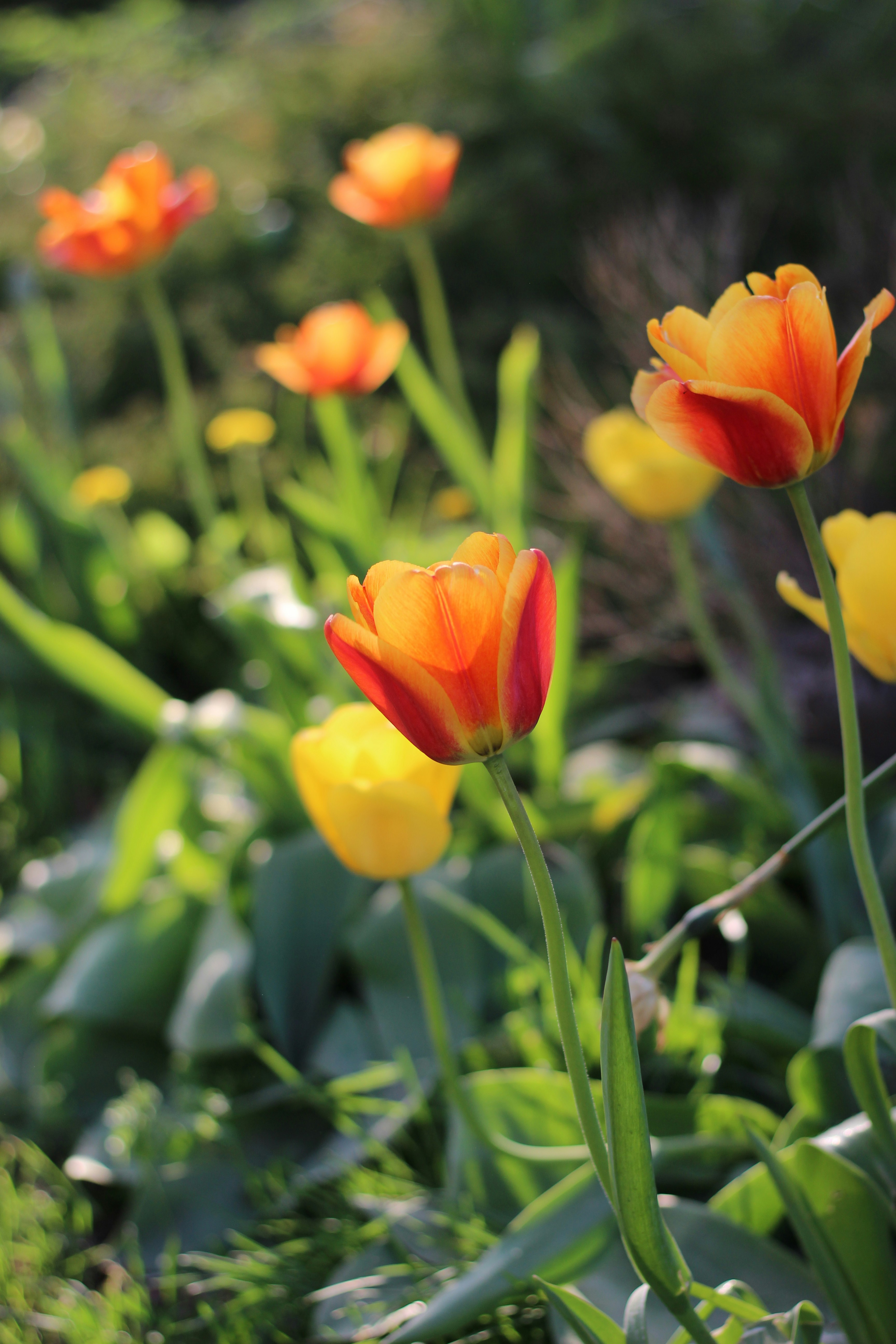 Photo by chelseakphotography