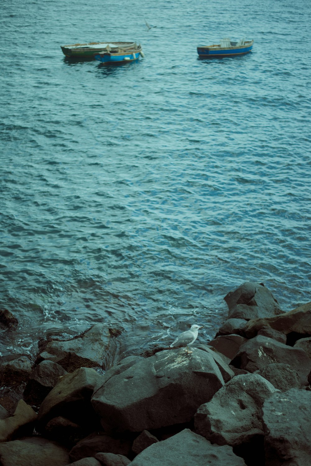 brown rocks near body of water during daytime