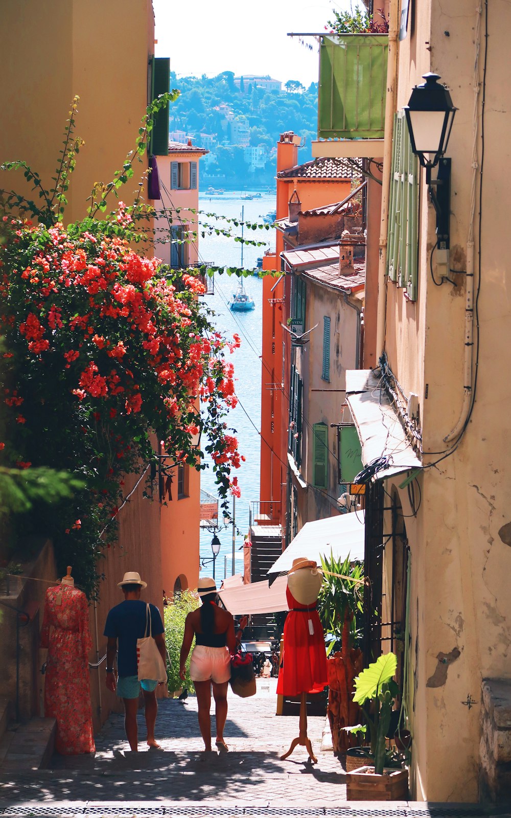 people standing near red flowers during daytime