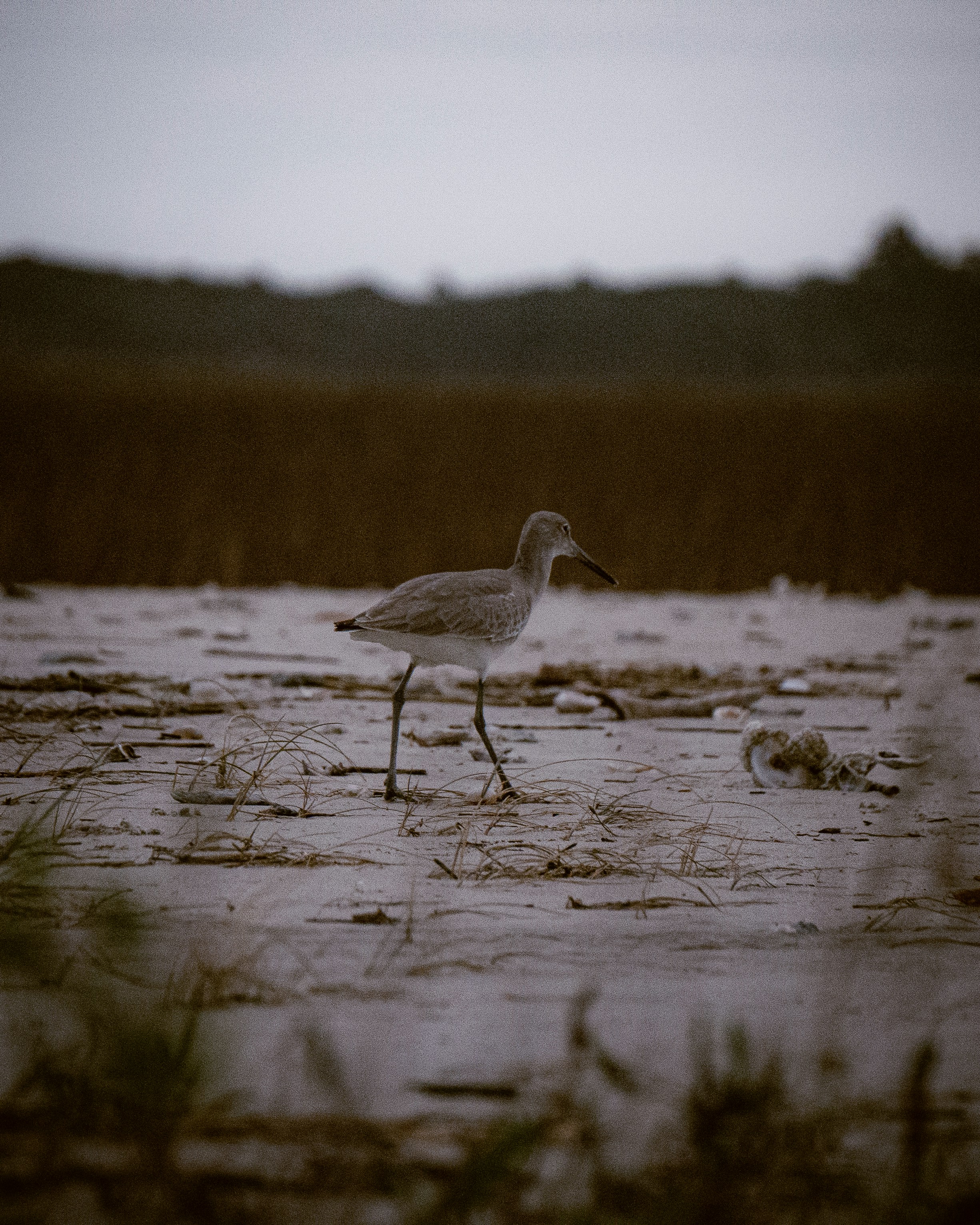 Photo by mbornhorst