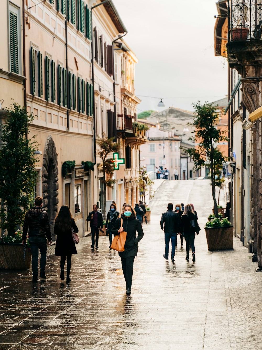 people walking on street during daytime