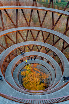 brown spiral staircase with green plants