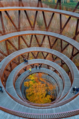 brown spiral staircase with green plants