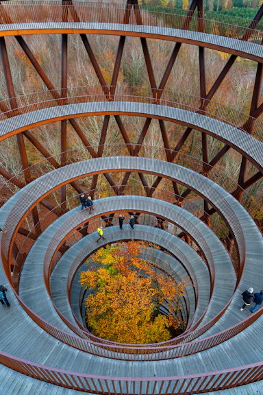 brown spiral staircase with green plants