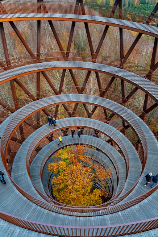 brown spiral staircase with green plants