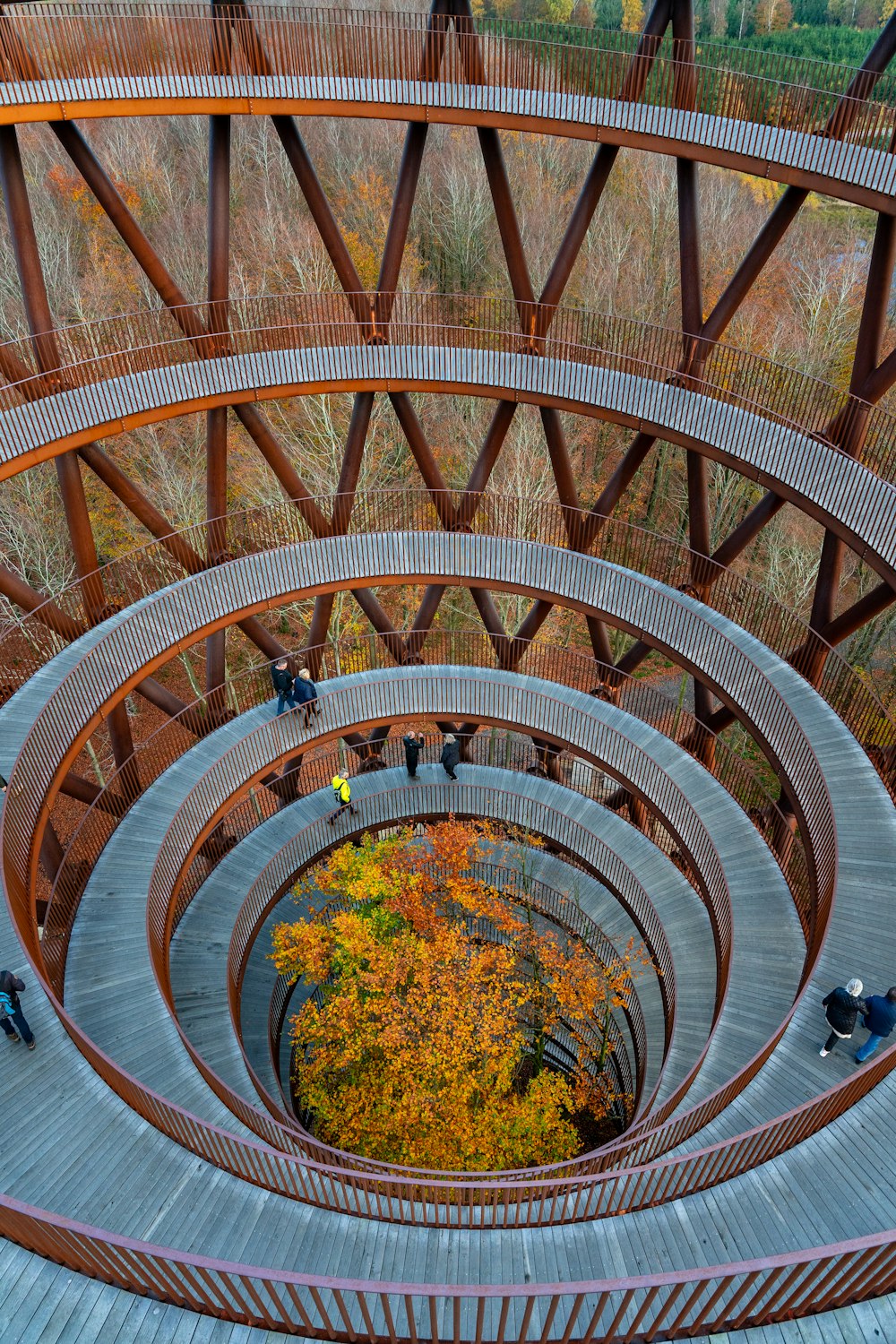 Escalera de caracol marrón con plantas verdes