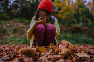 A candid moment of someone journaling outdoors surrounded by autumn leaves.