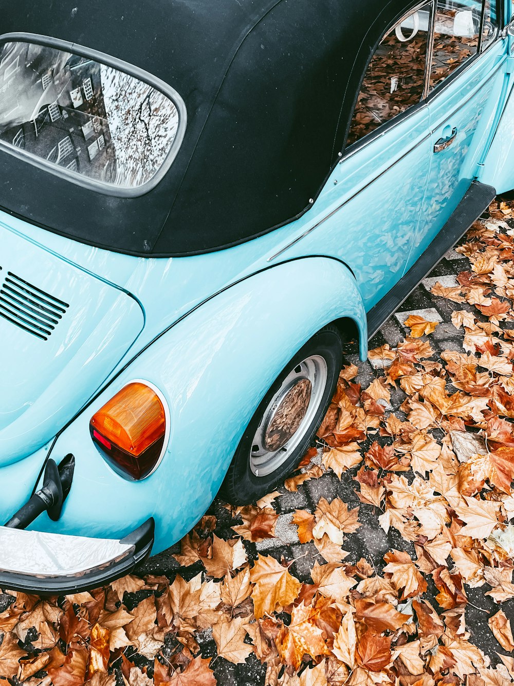 blue car with dried leaves on the ground