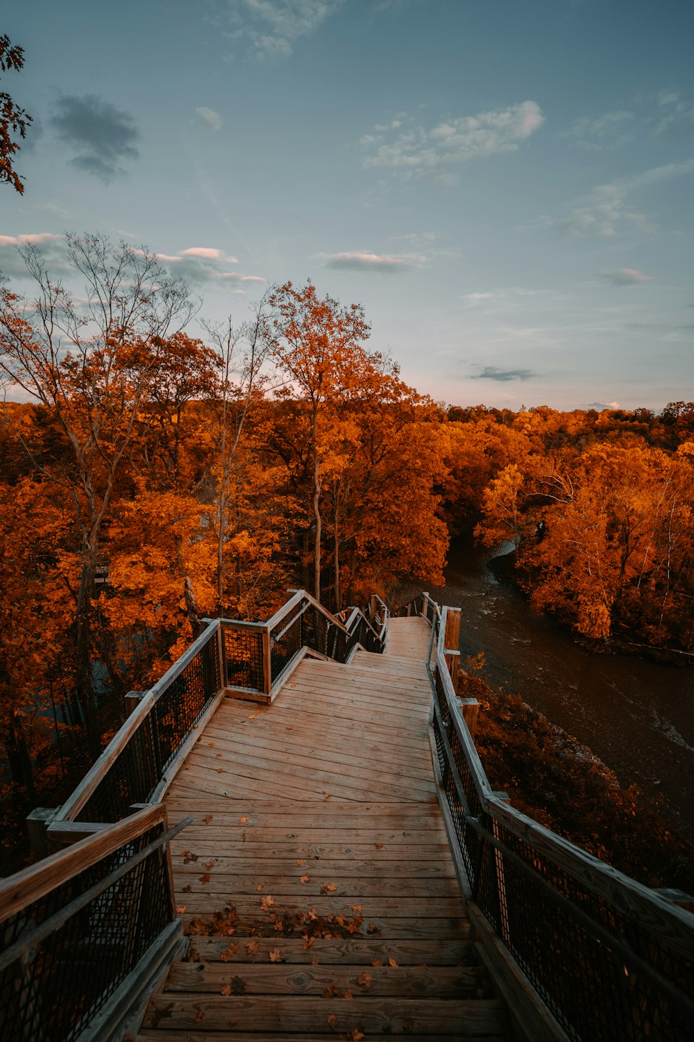 ponte de madeira marrom entre árvores marrons durante o dia