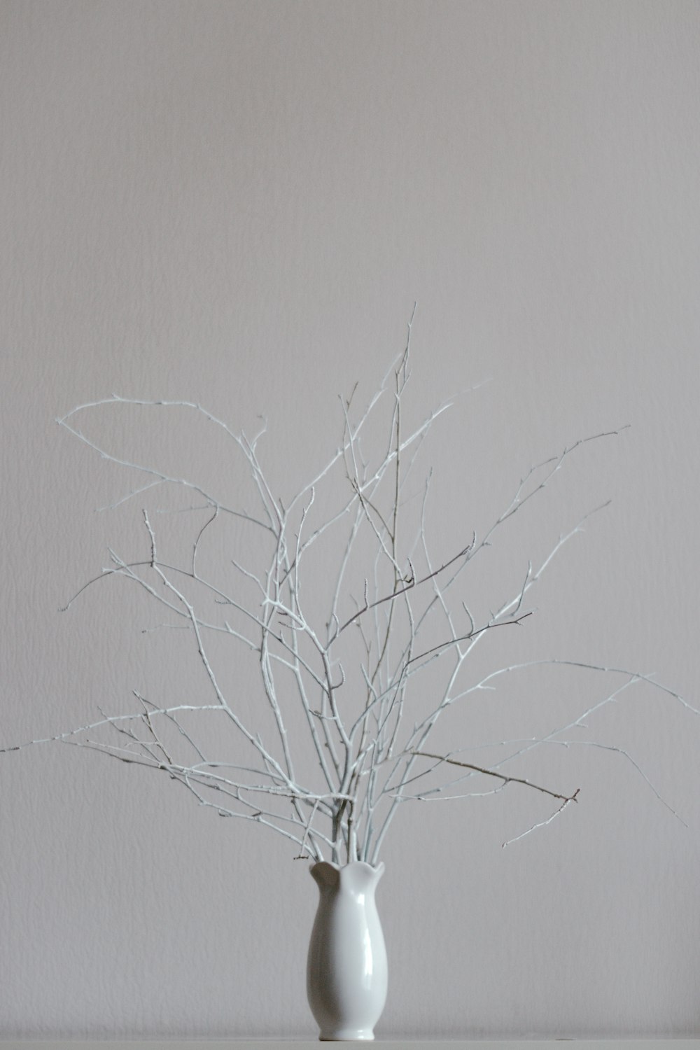 흰 벽에 잎이없는 나무