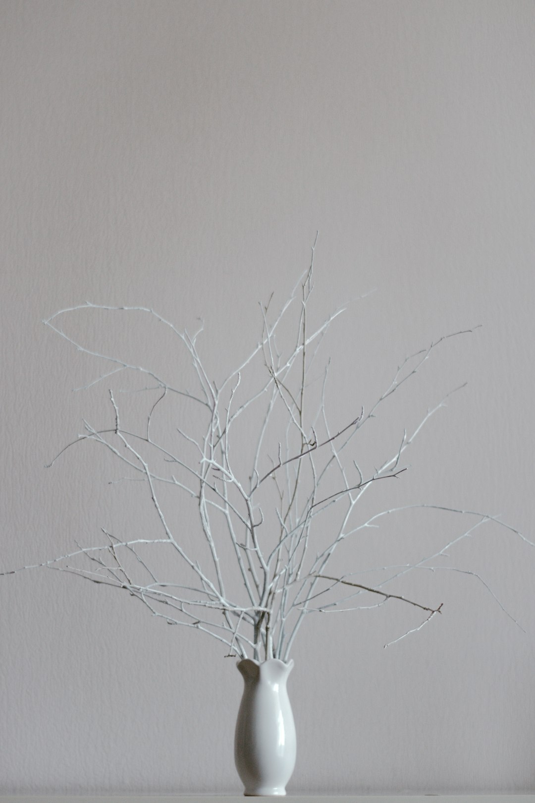 leafless tree on white wall