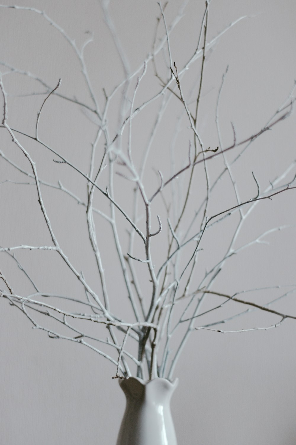 leafless tree under white sky