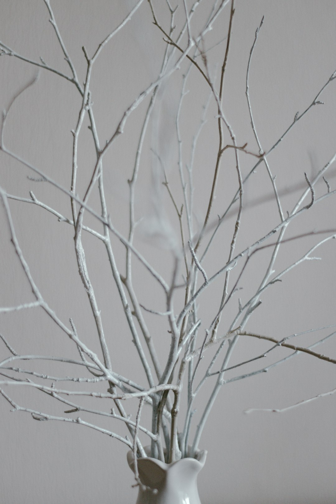 white and black tree branch