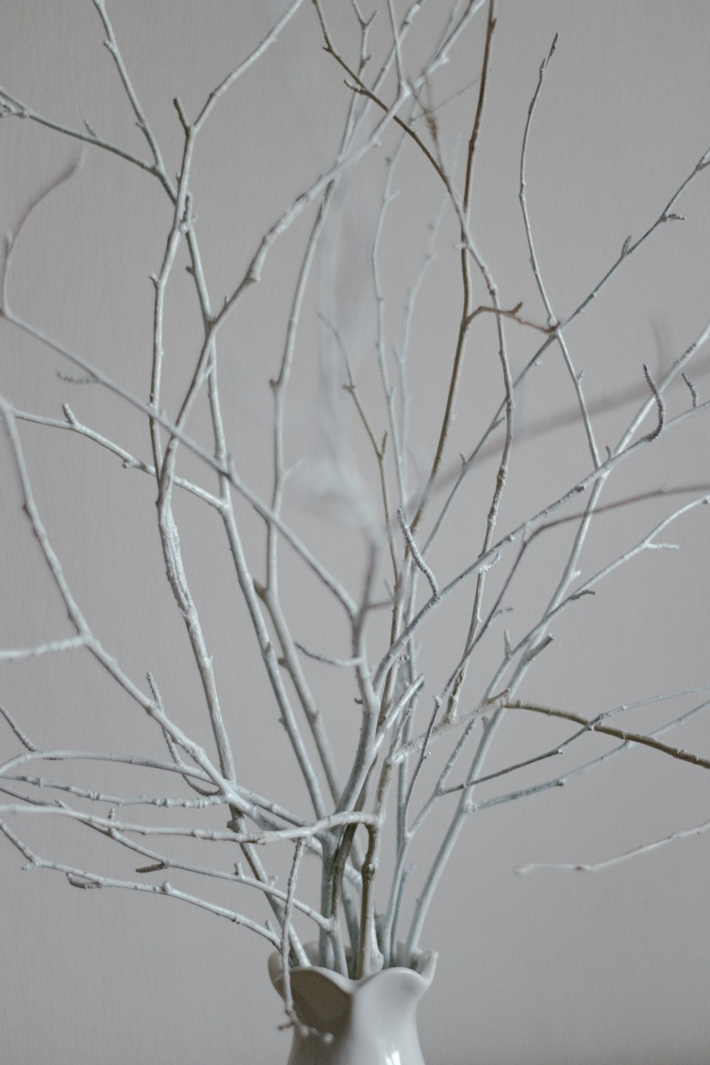 white and black tree branch