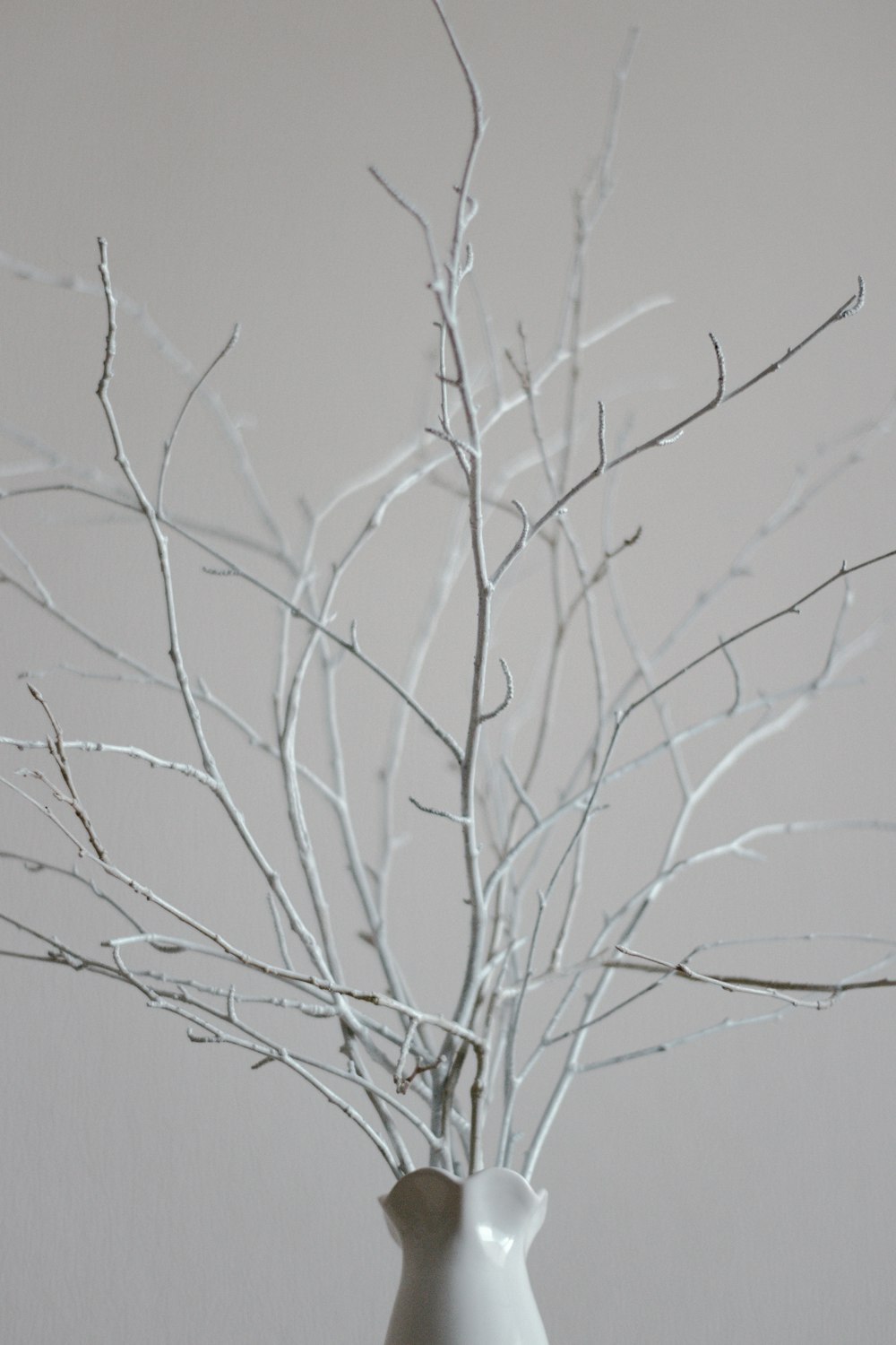 leafless tree under white sky