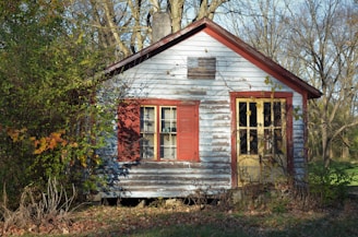 brown wooden house surrounded by trees