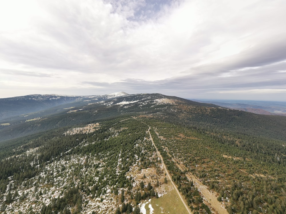 Grüne Bäume auf dem Berg tagsüber unter weißen Wolken