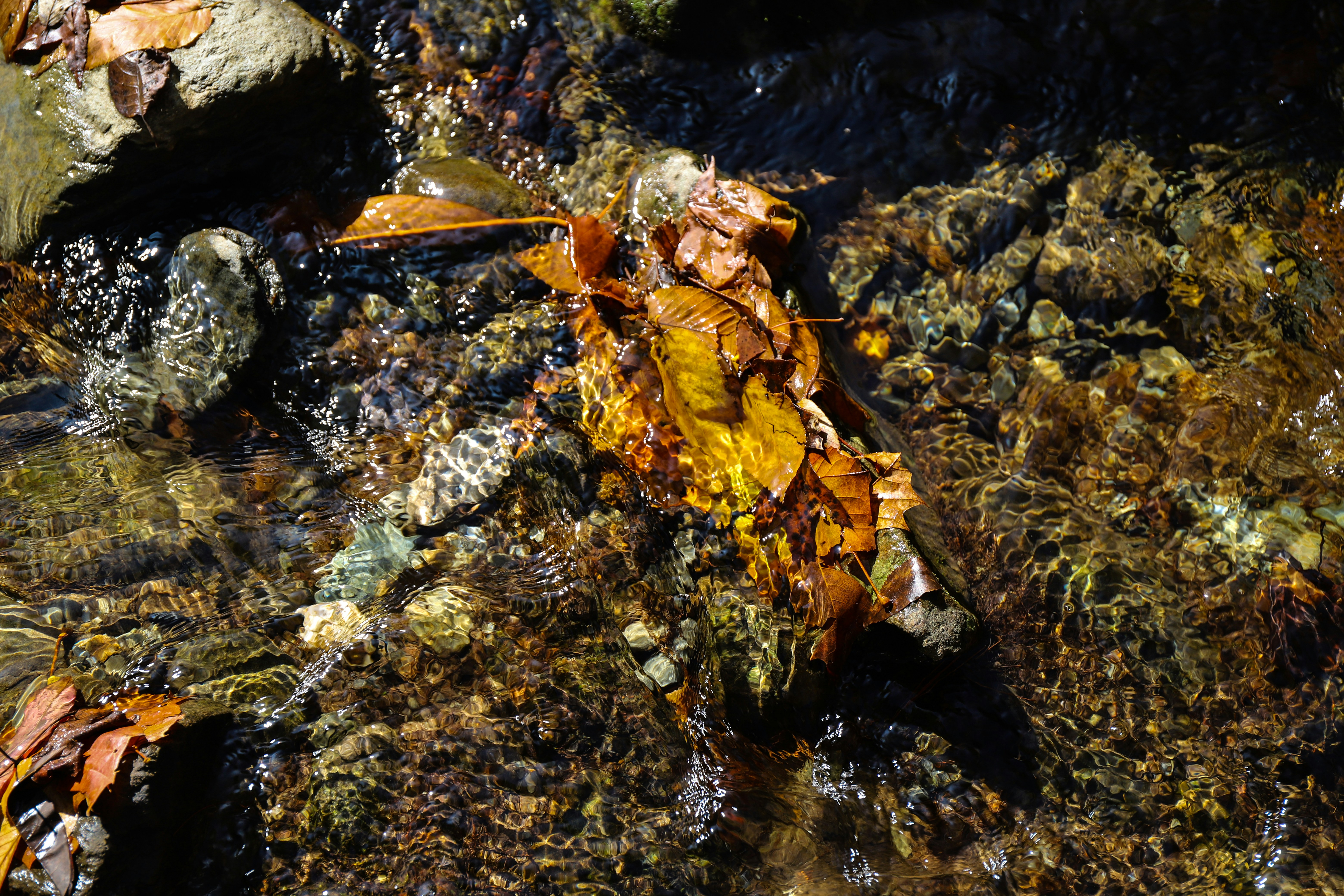 Photo by michaelbweidner