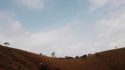 Open plot of land with rolling hills and a few scattered trees.