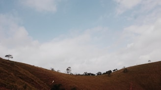 A plot of land with rolling hills and a few scattered trees.