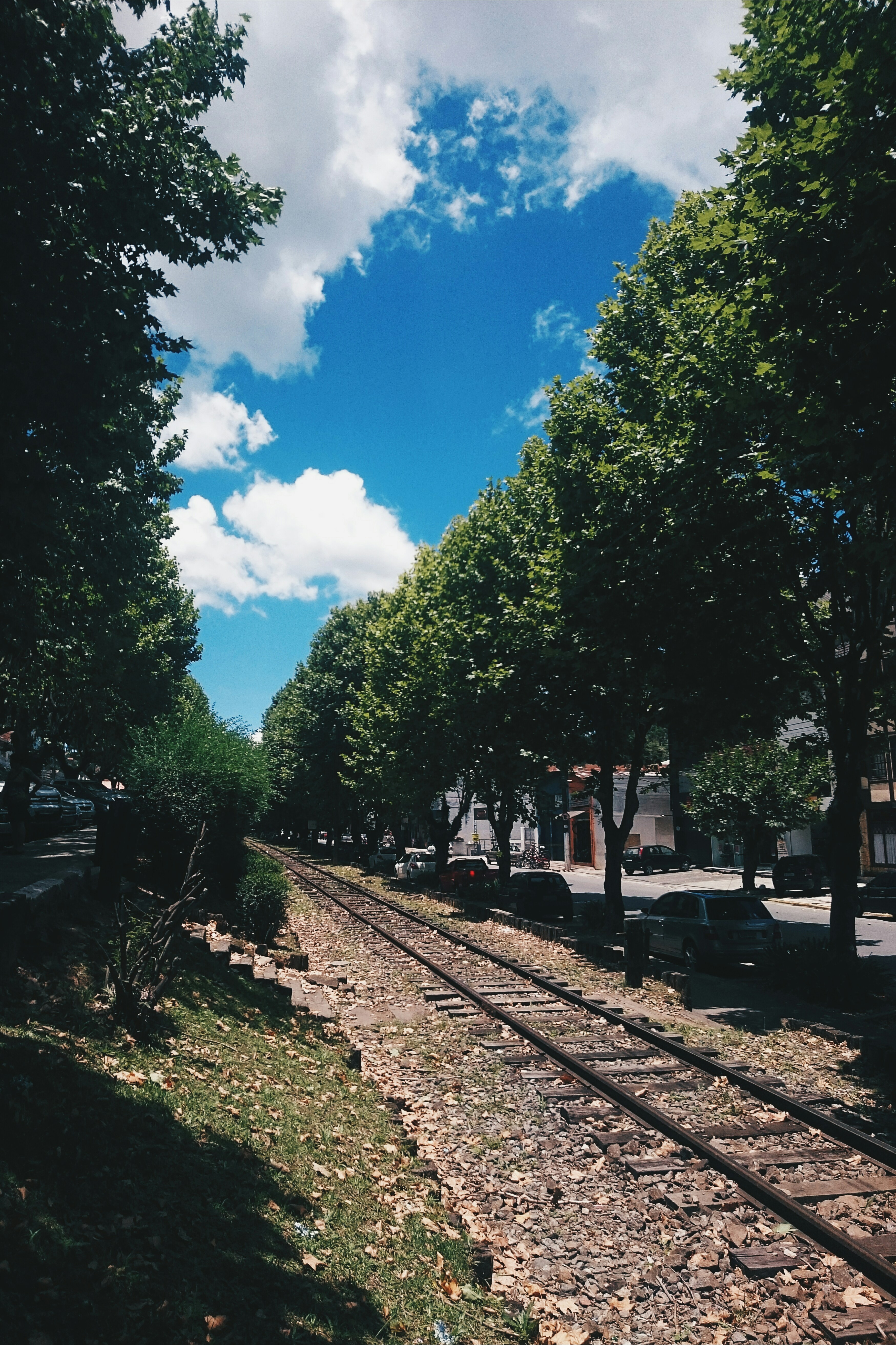 Photo by xulian