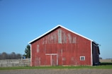 A weathered barn surrounded by wildflowers under a clear blue sky.