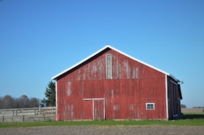 A weathered barn surrounded by wildflowers under a clear blue sky.