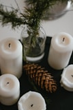 A collection of candles in eco-friendly packaging with natural elements like leaves and stones around them.