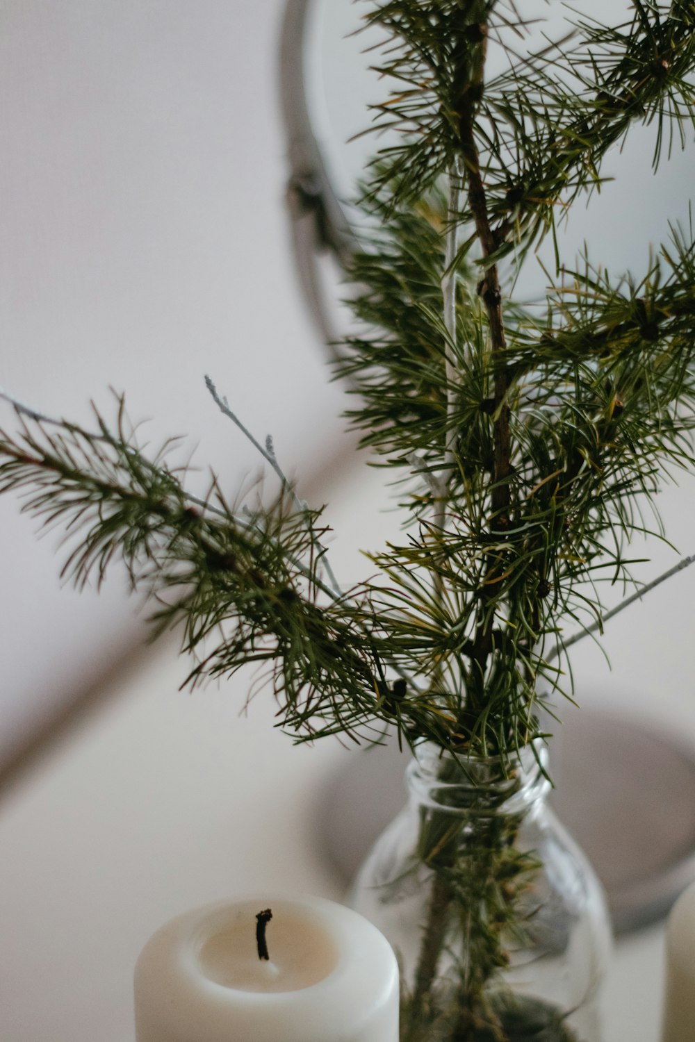 green plant in clear glass vase