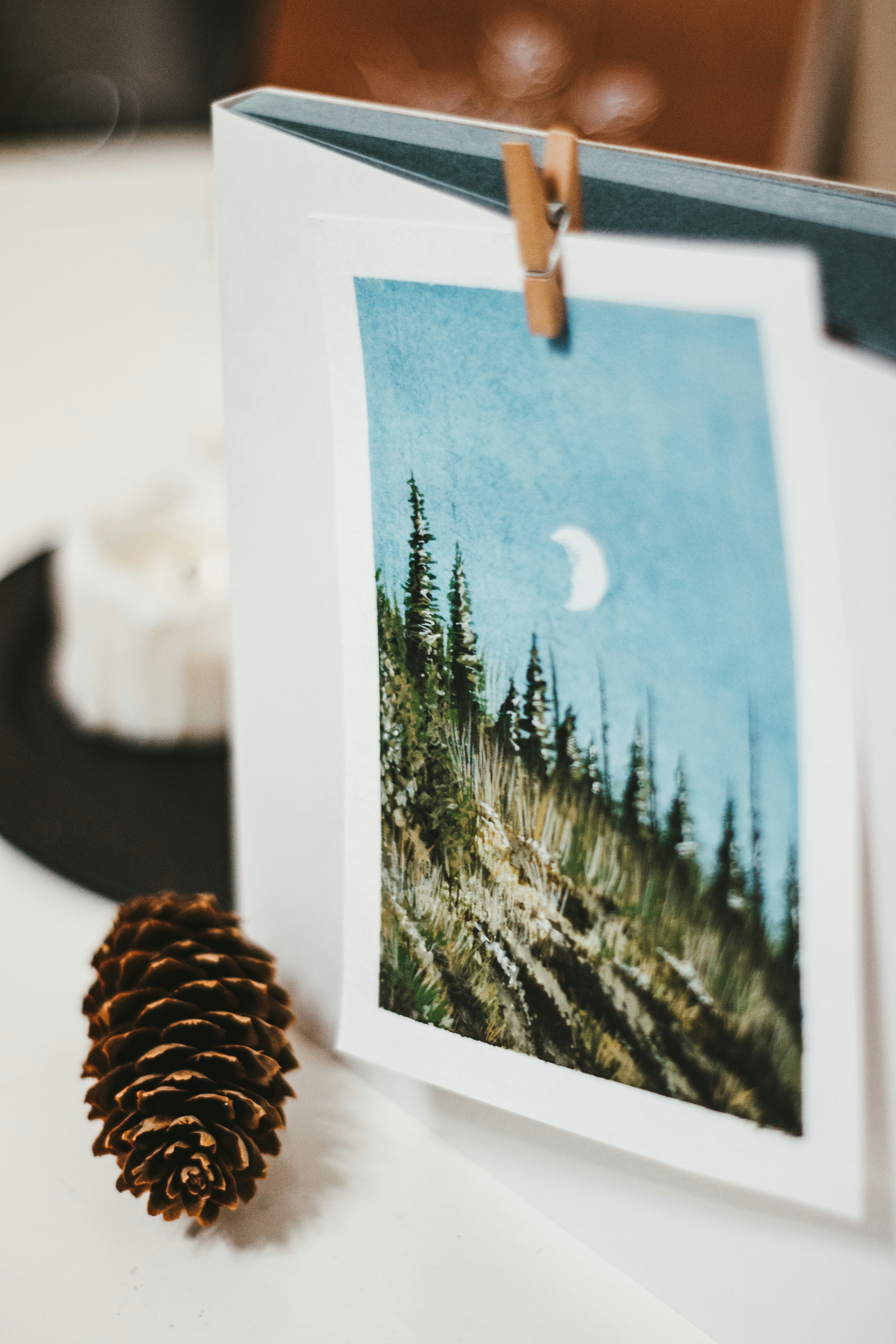 pine-cone-near-blue-and-white-sea-painting