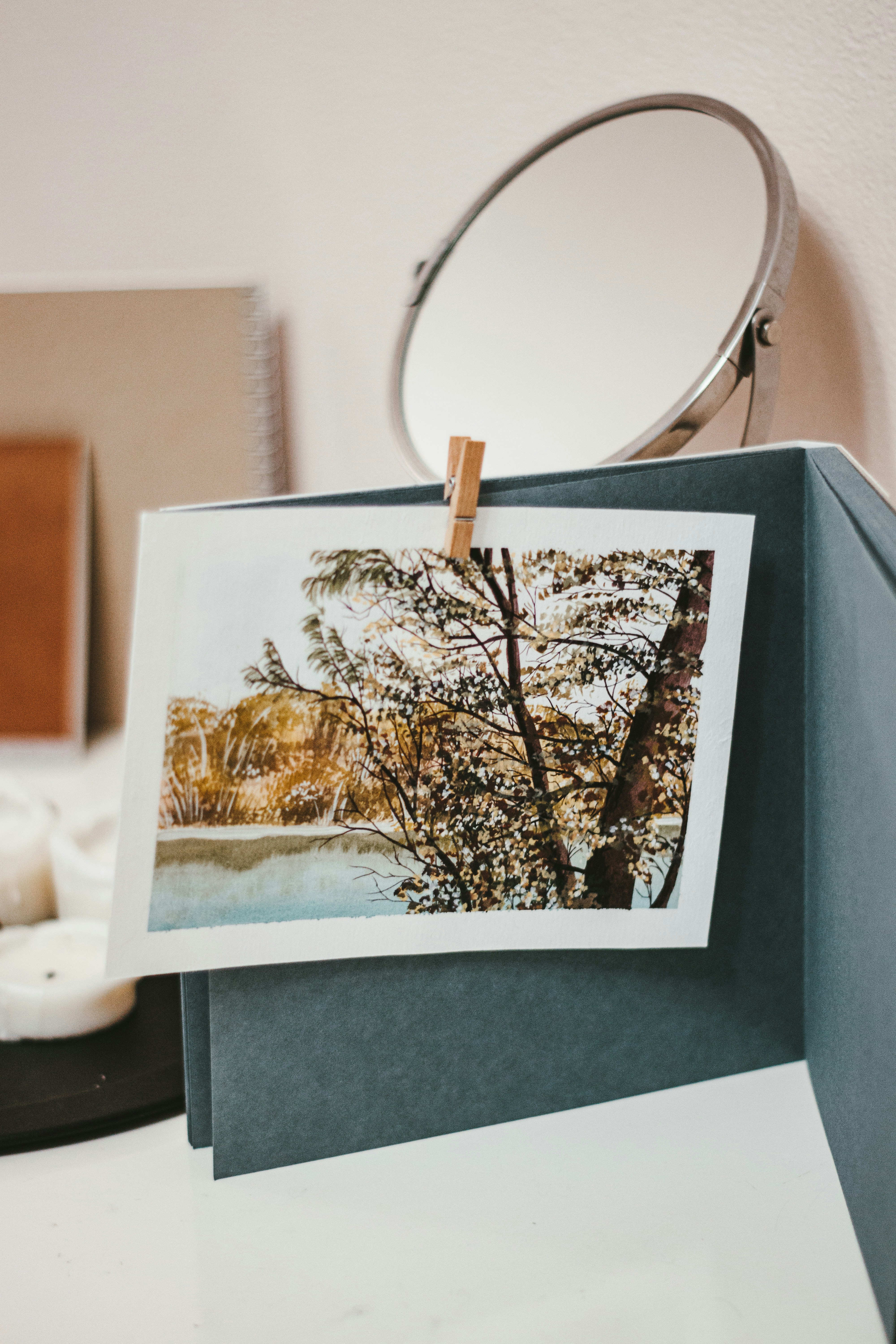 white and brown tree photo