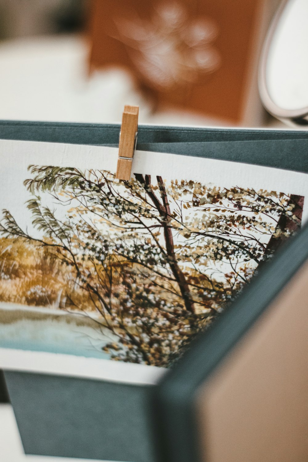 brown and white dried leaves on white wooden frame