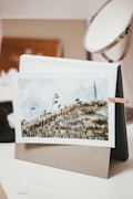 A realistic landscape painting is propped up on a stand, showcasing a field with tall grasses and small plants under a cloudy sky. The painting is held in place by a clothespin attached to a piece of cardboard, which is resting on a white surface. In the background, a blurred section with a mirror and other indistinct objects is visible.