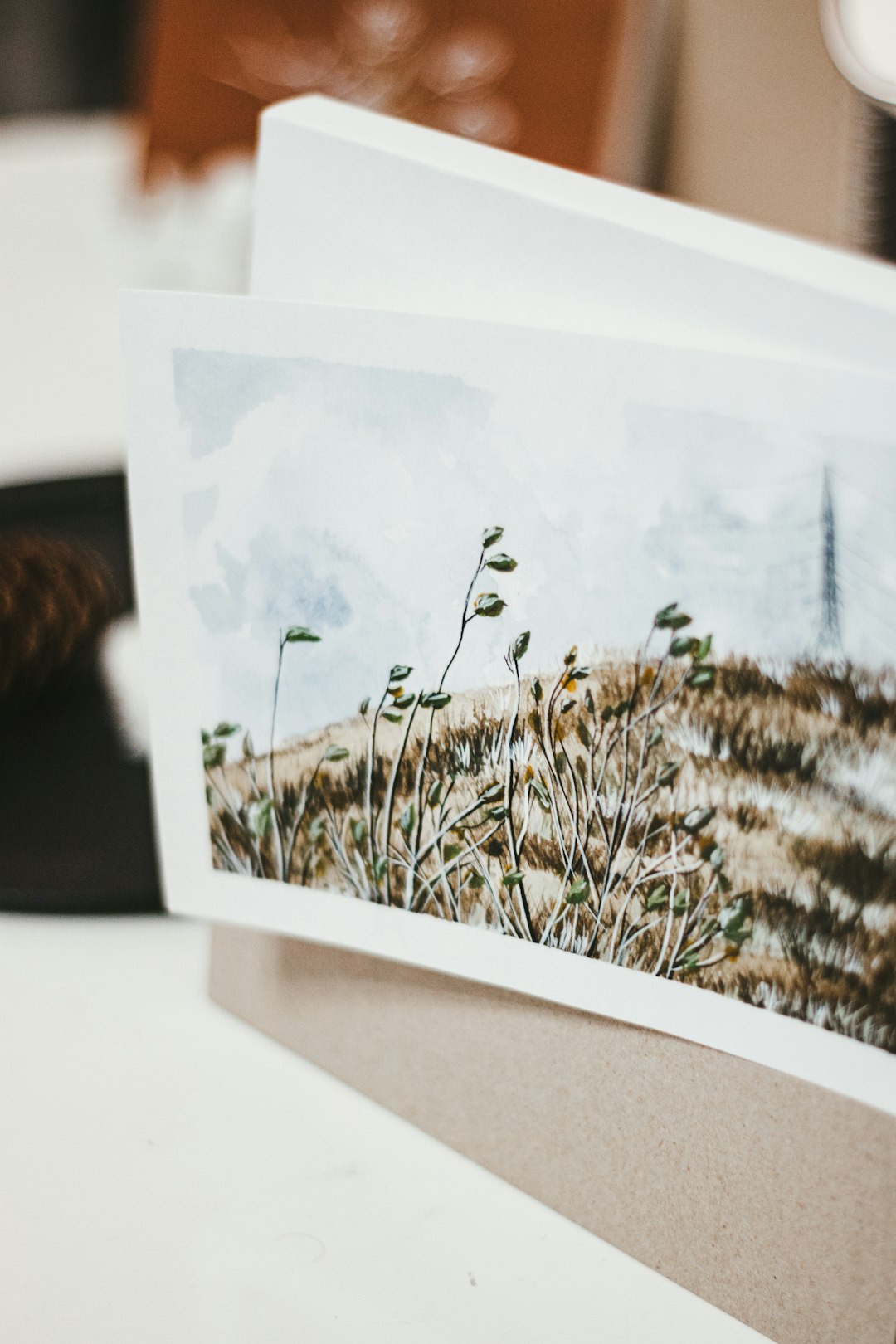 white and brown wheat field