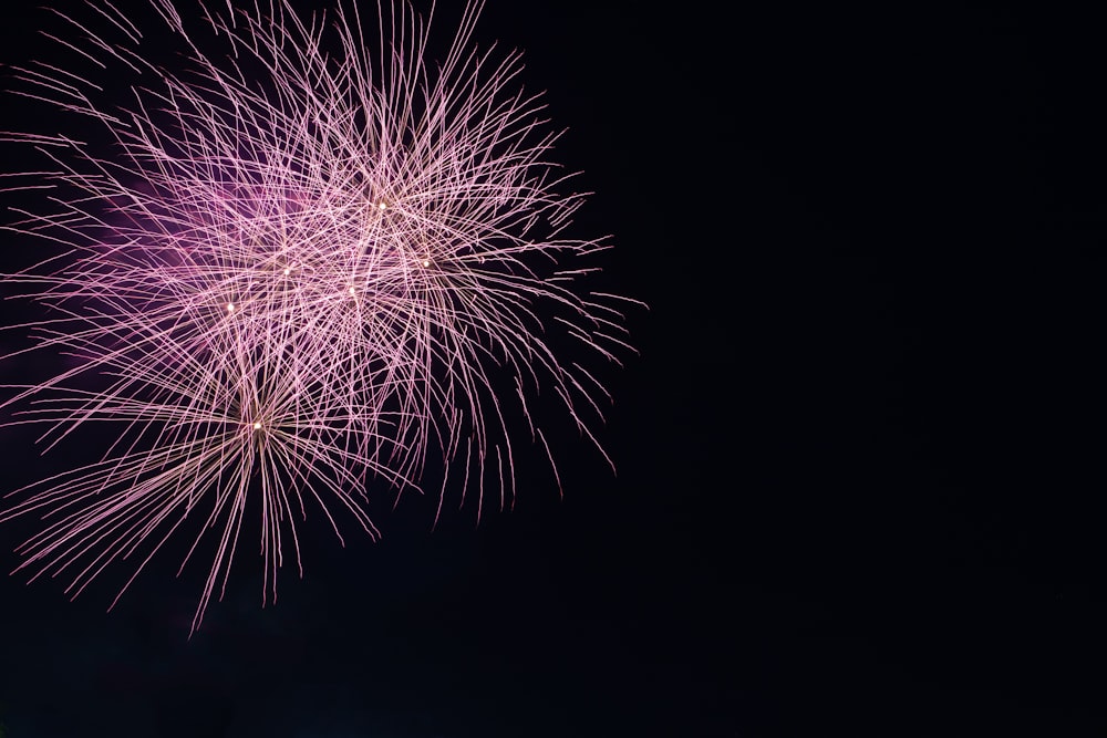 fogos de artifício brancos e vermelhos no céu