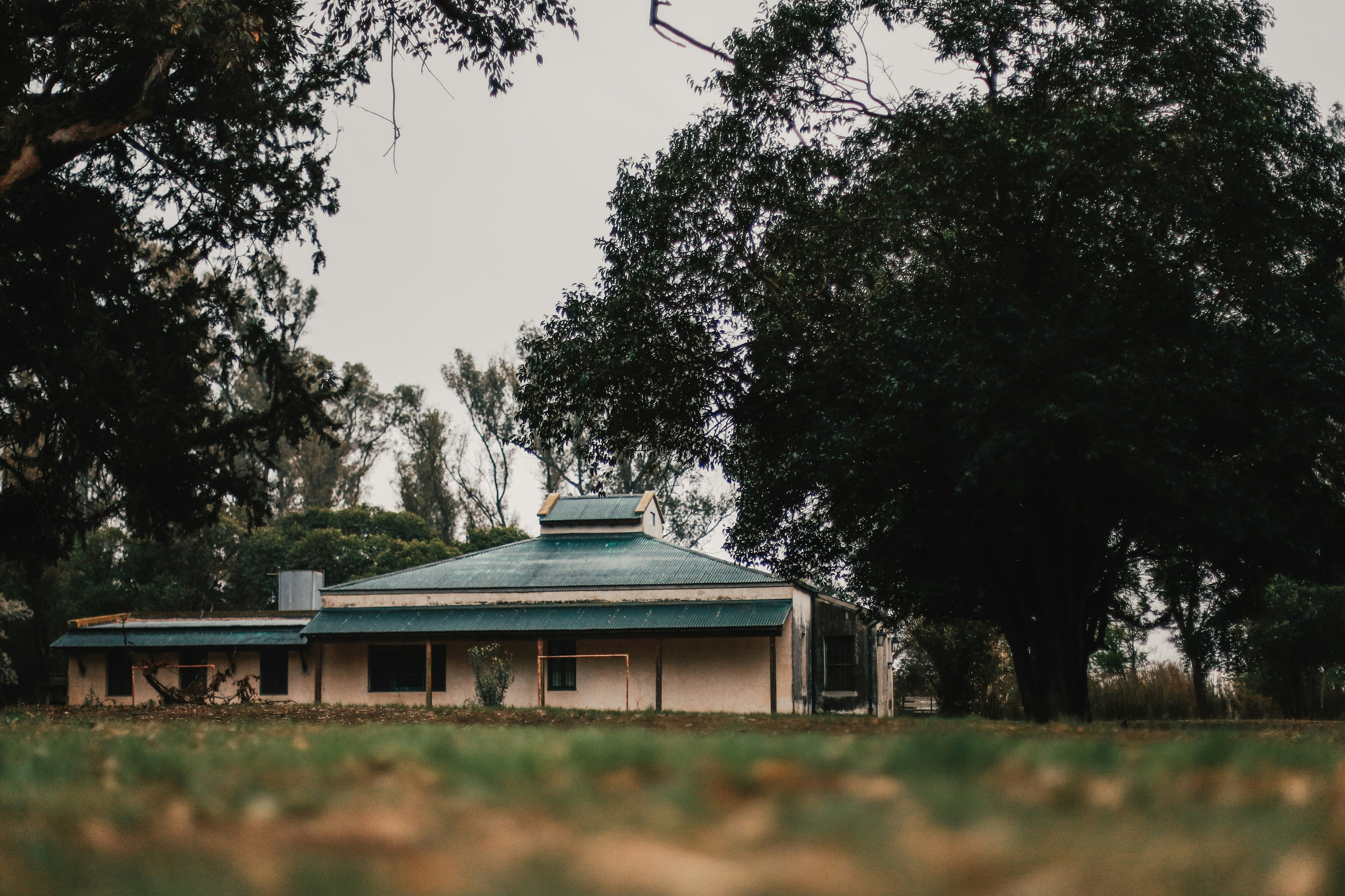 green and white house surrounded by green trees during daytime