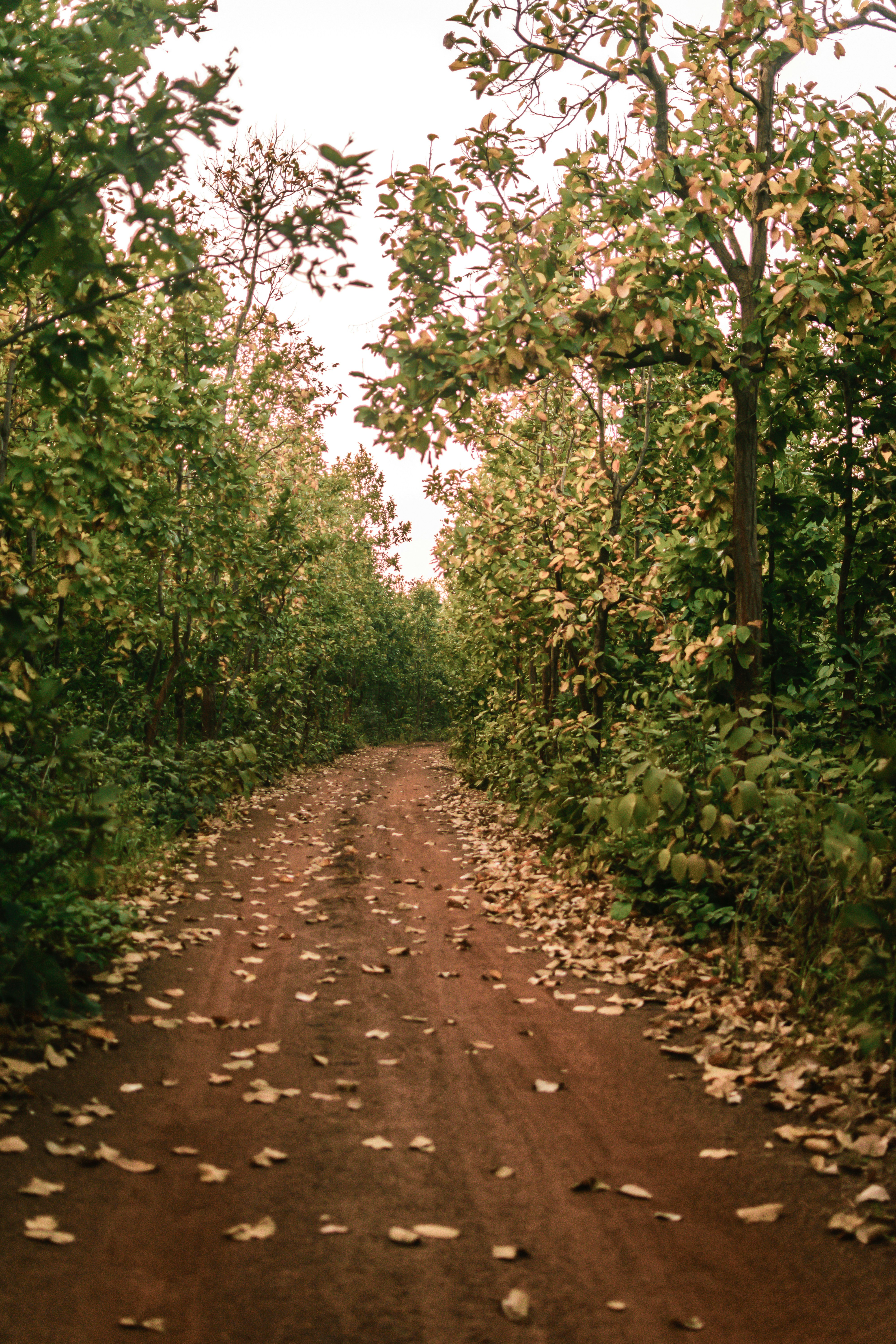 Photo by in_a_dustyblackcoat