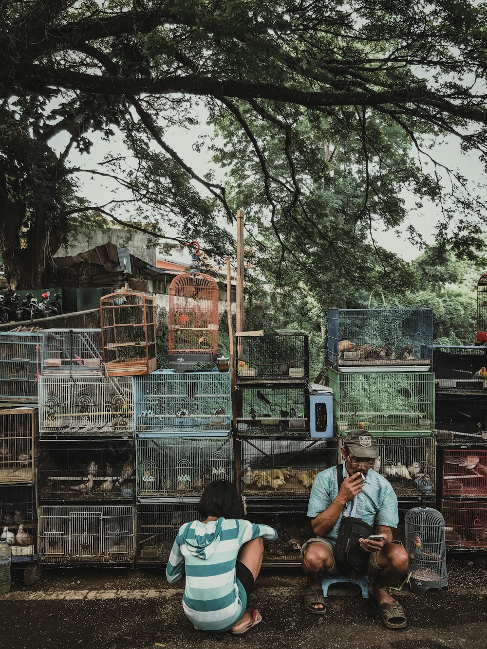 people sitting on bench near trees during daytime